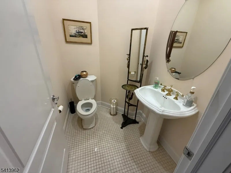 6 Trout Brook Ct Chester, NJ 07930