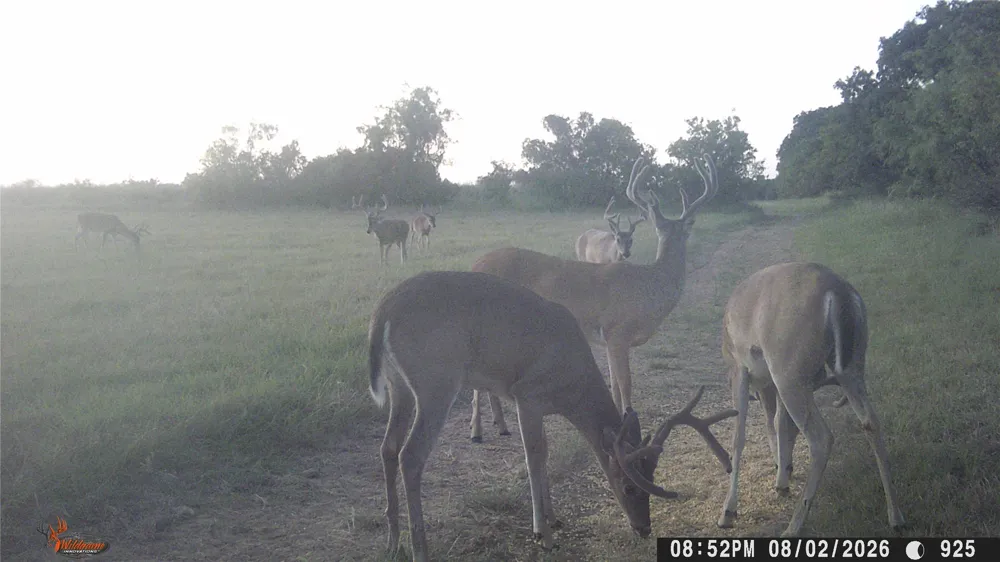 1010 FM 583 May, TX 76471