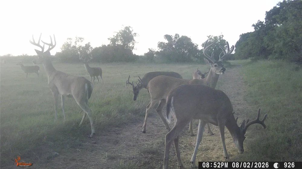 1010 FM 583 May, TX 76471