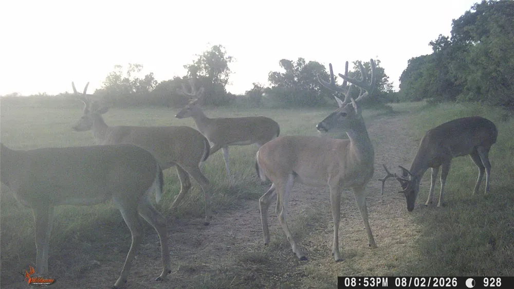 1010 FM 583 May, TX 76471