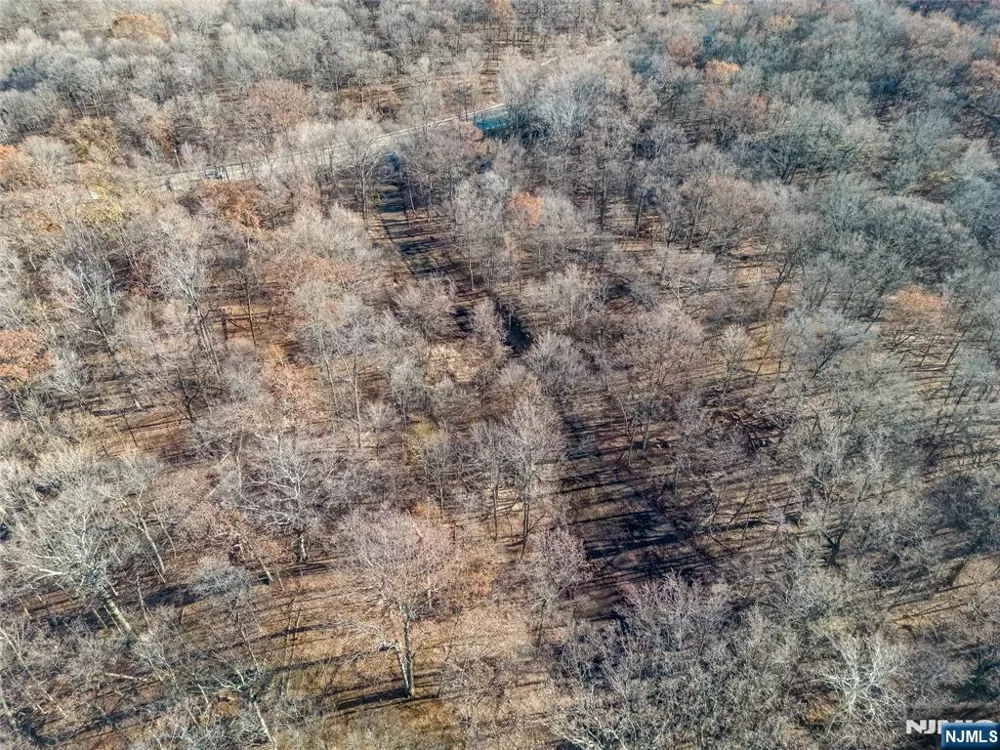 6 Old Farm Way Alpine, NJ 07620