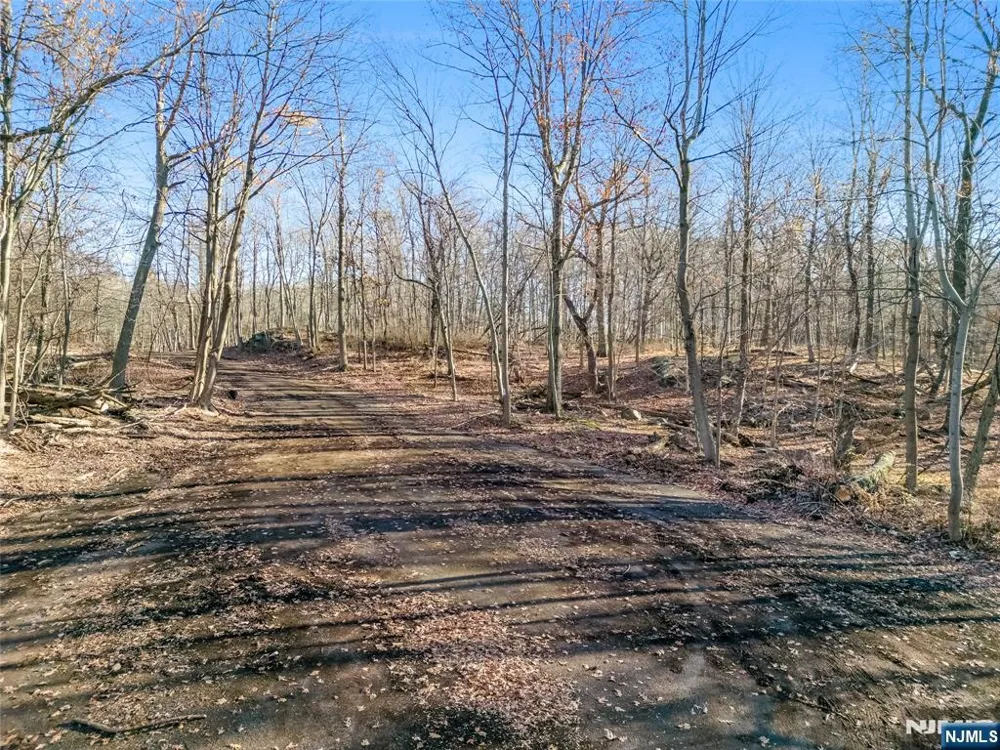 6 Old Farm Way Alpine, NJ 07620