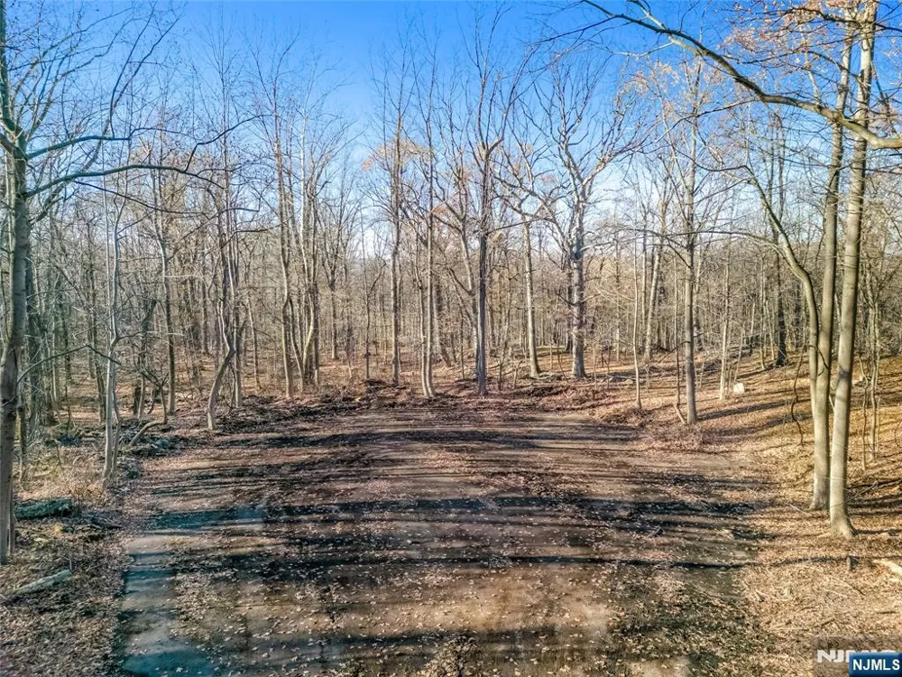 6 Old Farm Way Alpine, NJ 07620