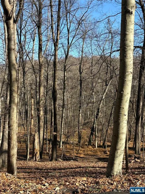 2 Kent Brook Terrace Kinnelonugh, NJ 07405