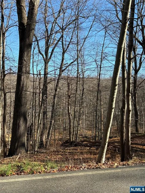 2 Kent Brook Terrace Kinnelonugh, NJ 07405