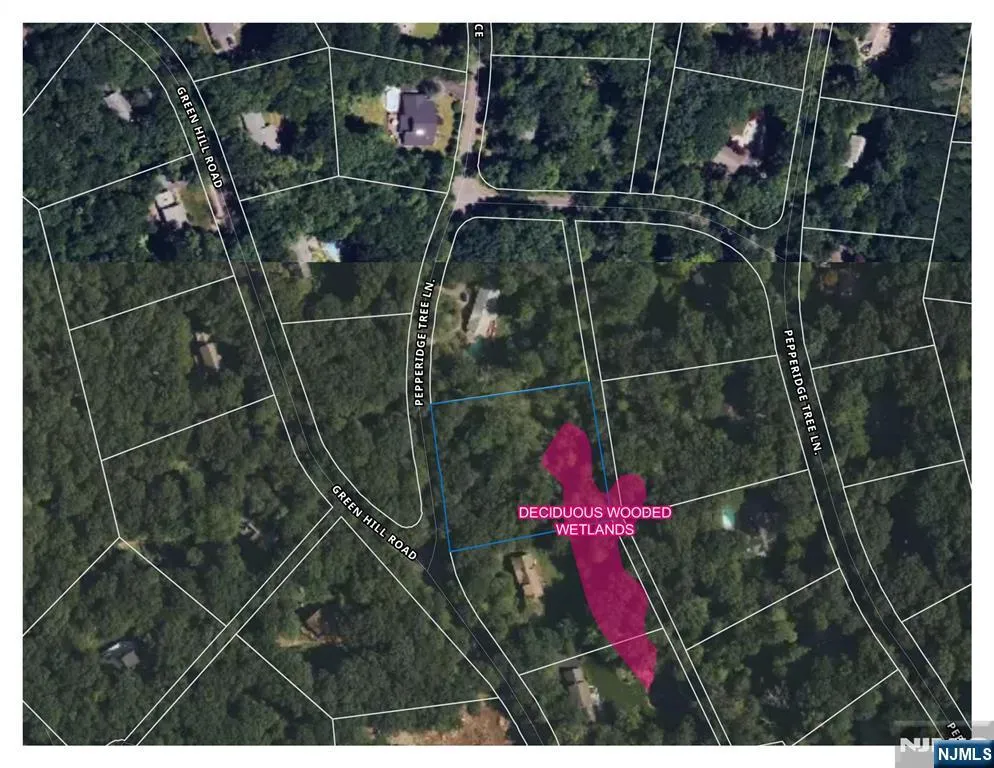 2 Kent Brook Terrace Kinnelonugh, NJ 07405