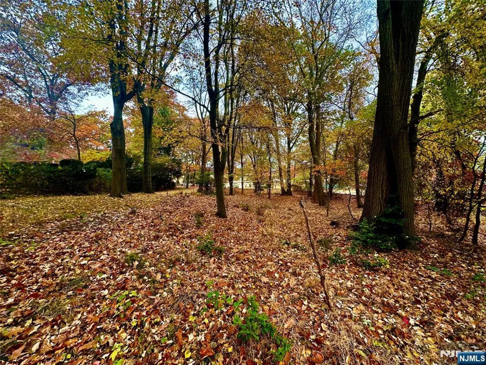 216 E Midland Avenue Paramus, NJ 07652