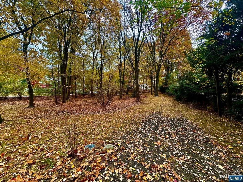 216 E Midland Avenue Paramus, NJ 07652