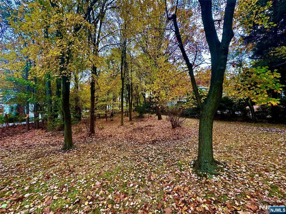 216 E Midland Avenue Paramus, NJ 07652