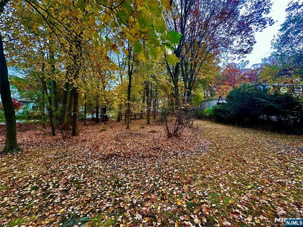 216 E Midland Avenue Paramus, NJ 07652