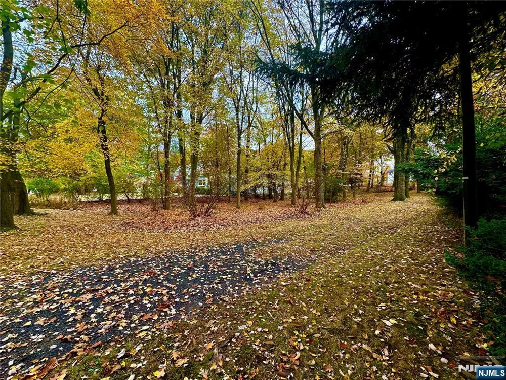 216 E Midland Avenue Paramus, NJ 07652