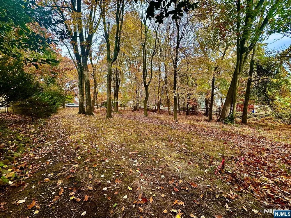 216 E Midland Avenue Paramus, NJ 07652