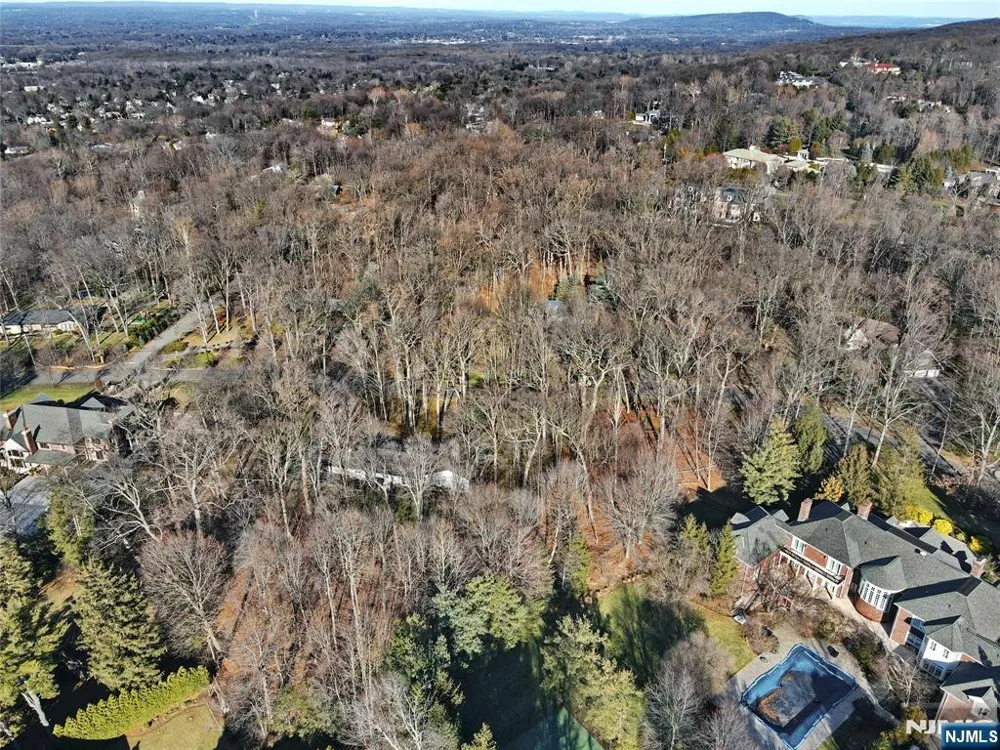 32 Litchfield Way Alpine, NJ 07620