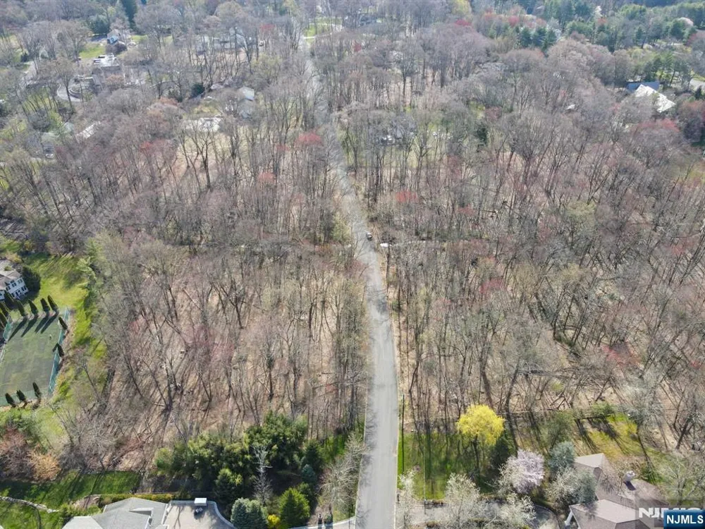 20 Wildwood Road Saddle River, NJ 07458