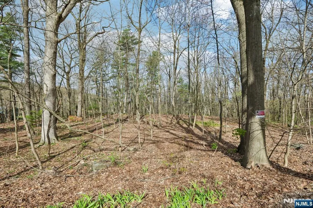 11 Alamoosook Road Vernon, NJ 07422