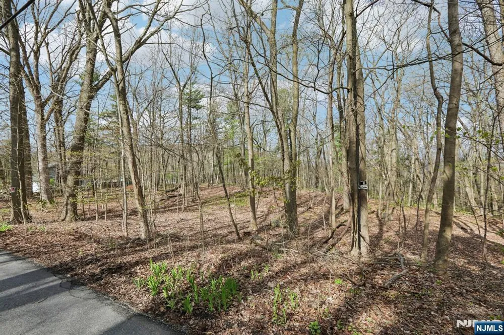 11 Alamoosook Road Vernon, NJ 07422
