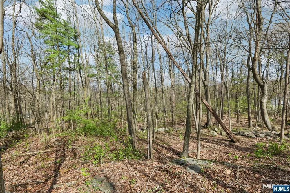 11 Alamoosook Road Vernon, NJ 07422