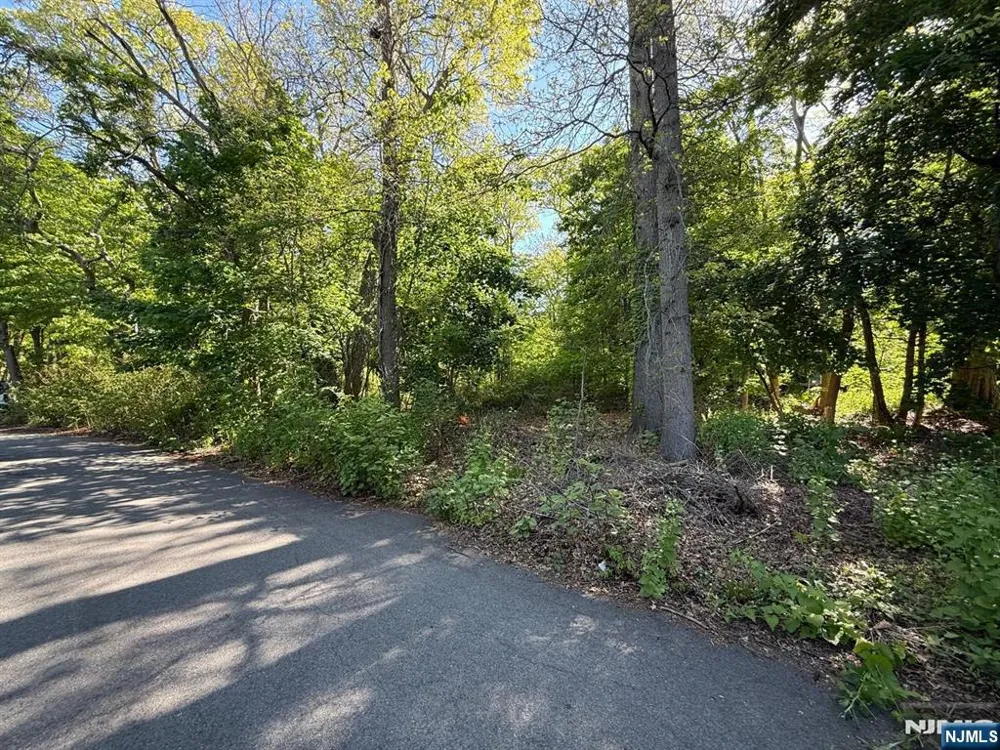 25 Budd Avenue Mount Olive Township, NJ 07828