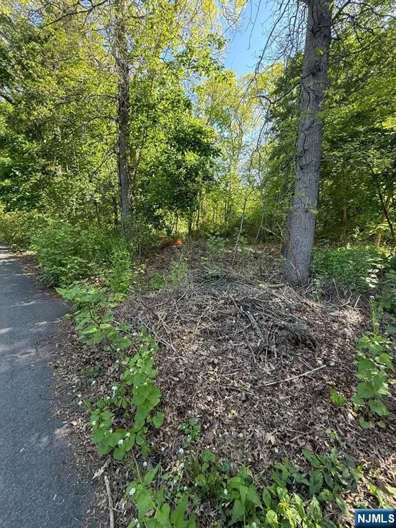 25 Budd Avenue Mount Olive Township, NJ 07828