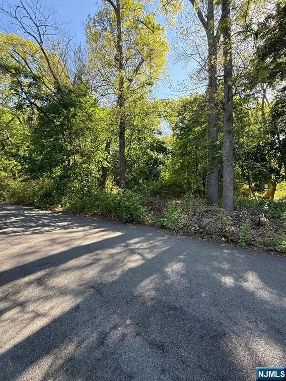 25 Budd Avenue Mount Olive Township, NJ 07828