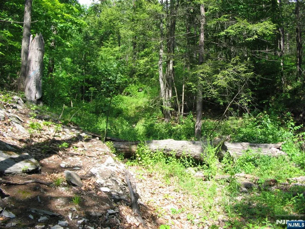 67 Pidgeon Hill Road Wantage, NJ 07461