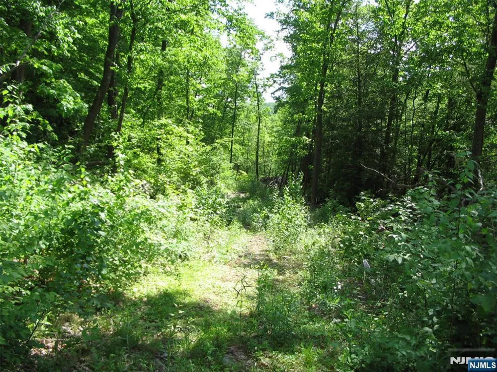67 Pidgeon Hill Road Wantage, NJ 07461