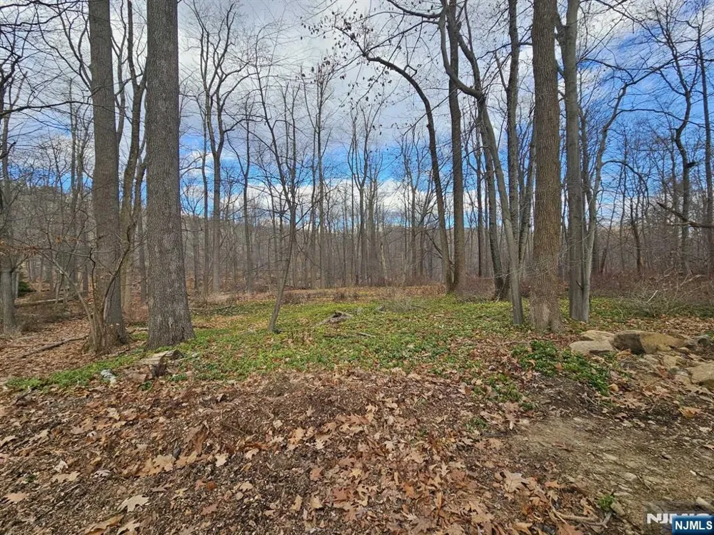 34 Starlight Drive Morris Township, NJ 07960