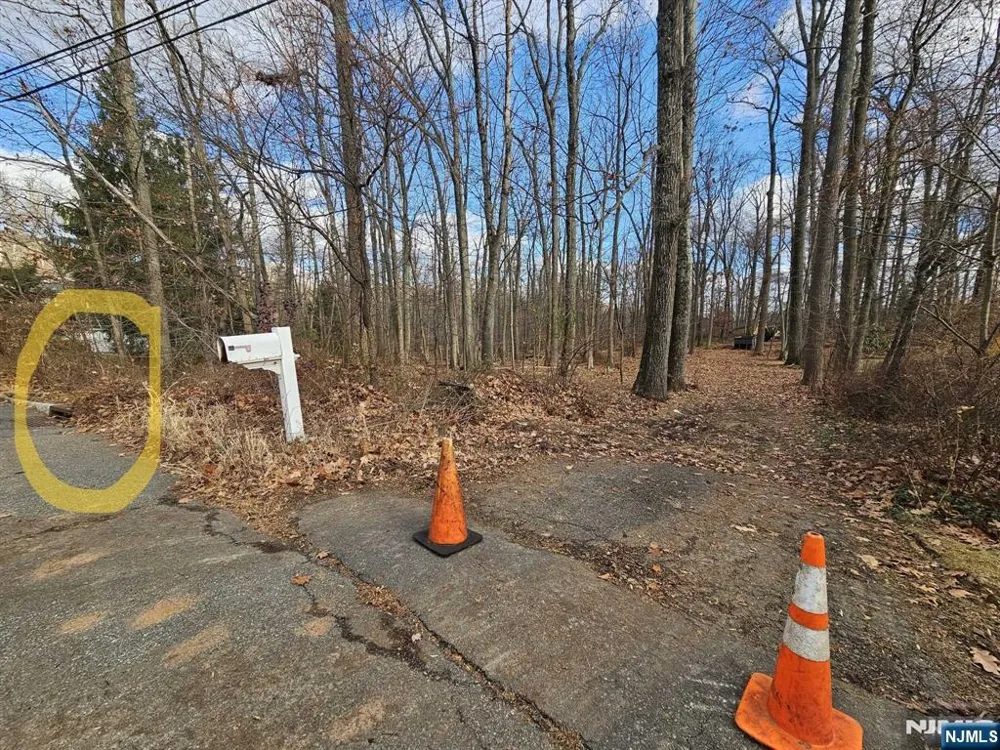 34 Starlight Drive Morris Township, NJ 07960