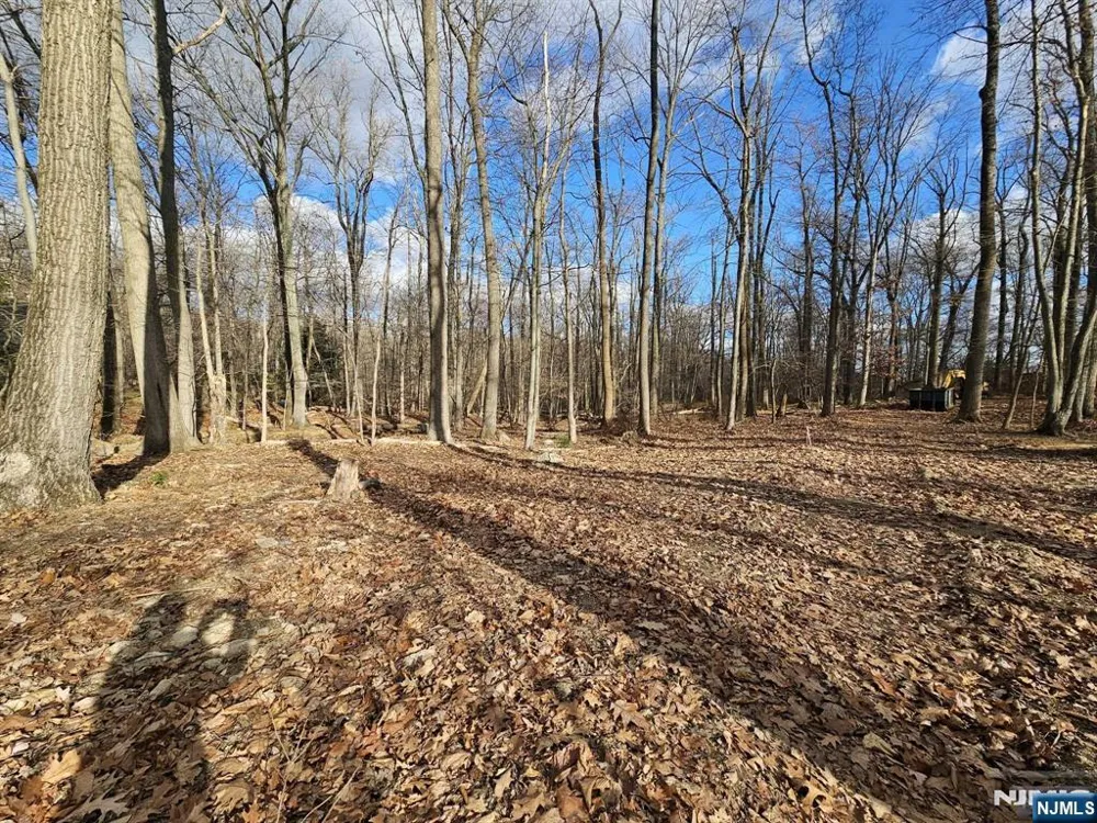 34 Starlight Drive Morris Township, NJ 07960