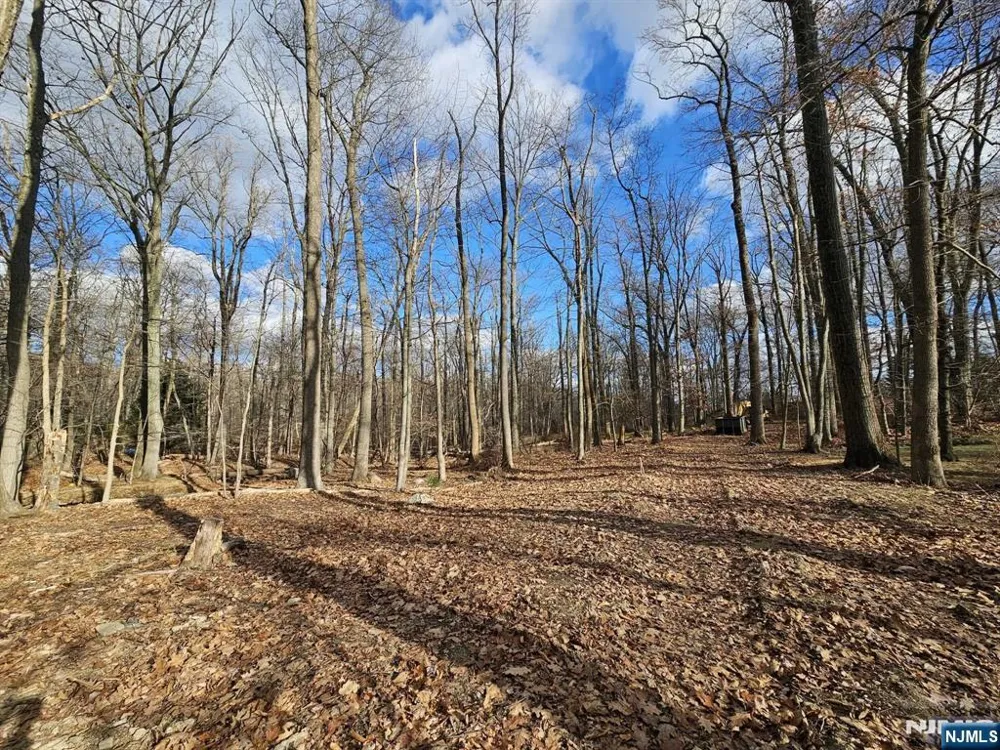 34 Starlight Drive Morris Township, NJ 07960