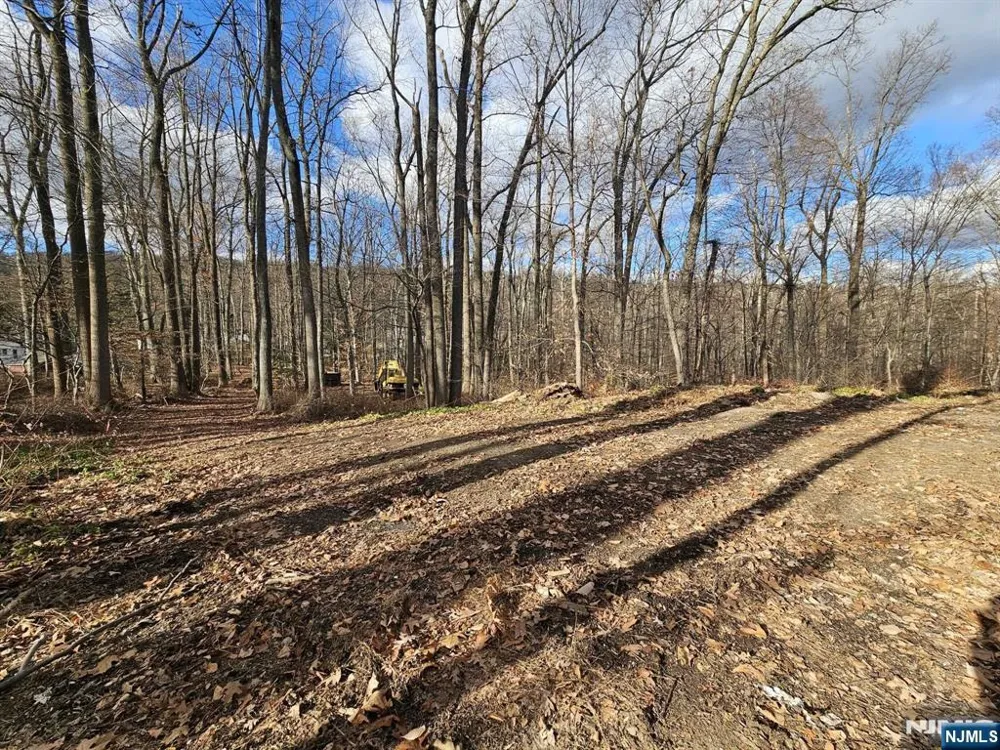 34 Starlight Drive Morris Township, NJ 07960