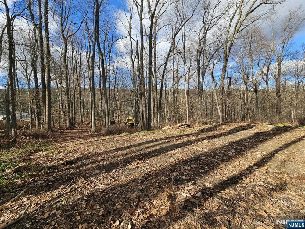 34 Starlight Drive Morris Township, NJ 07960