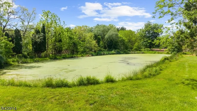 441 Pittstown Rd Franklin, NJ 08867