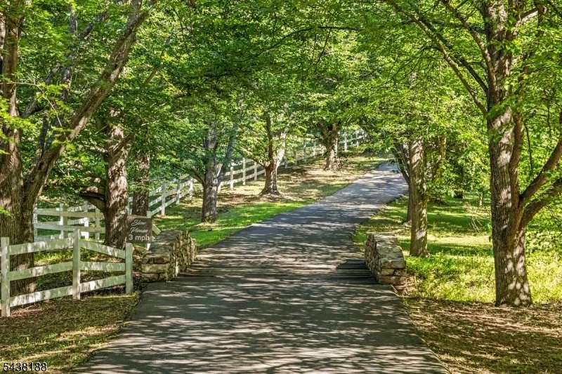 65 Brookville Hollow Rd Delaware, NJ 08559