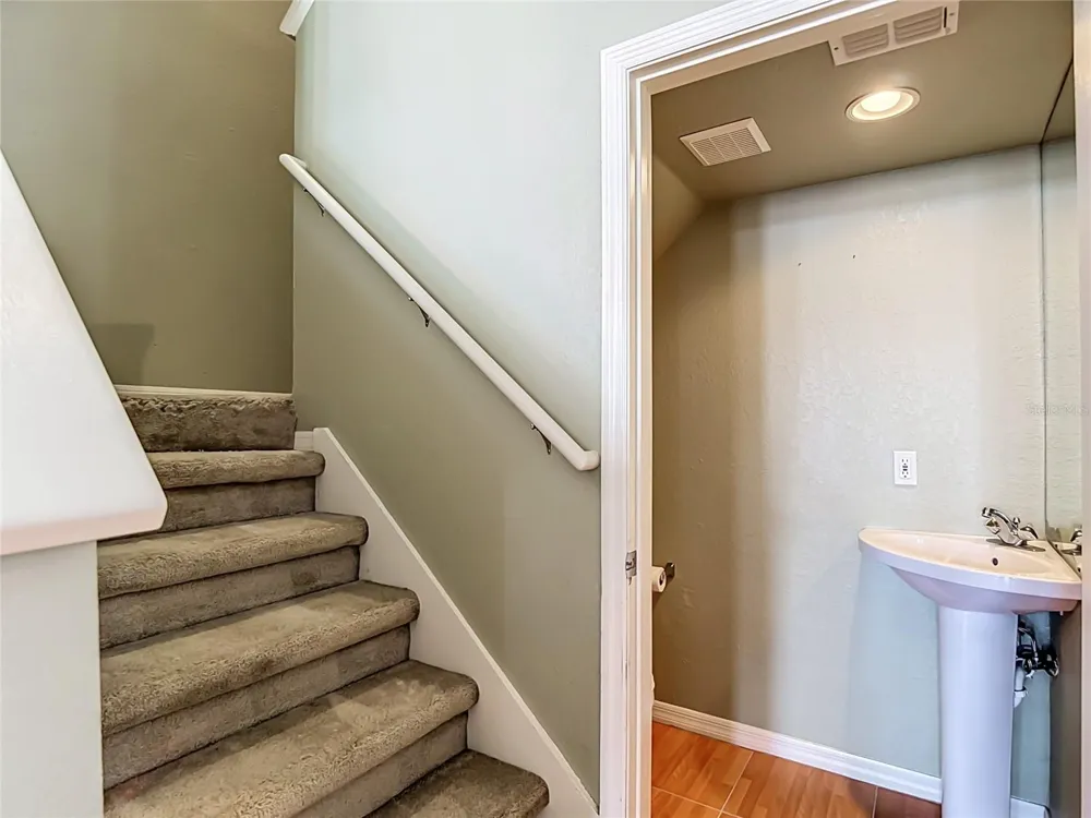 4008 BANGALOW PALM COURT Tampa, FL 33624