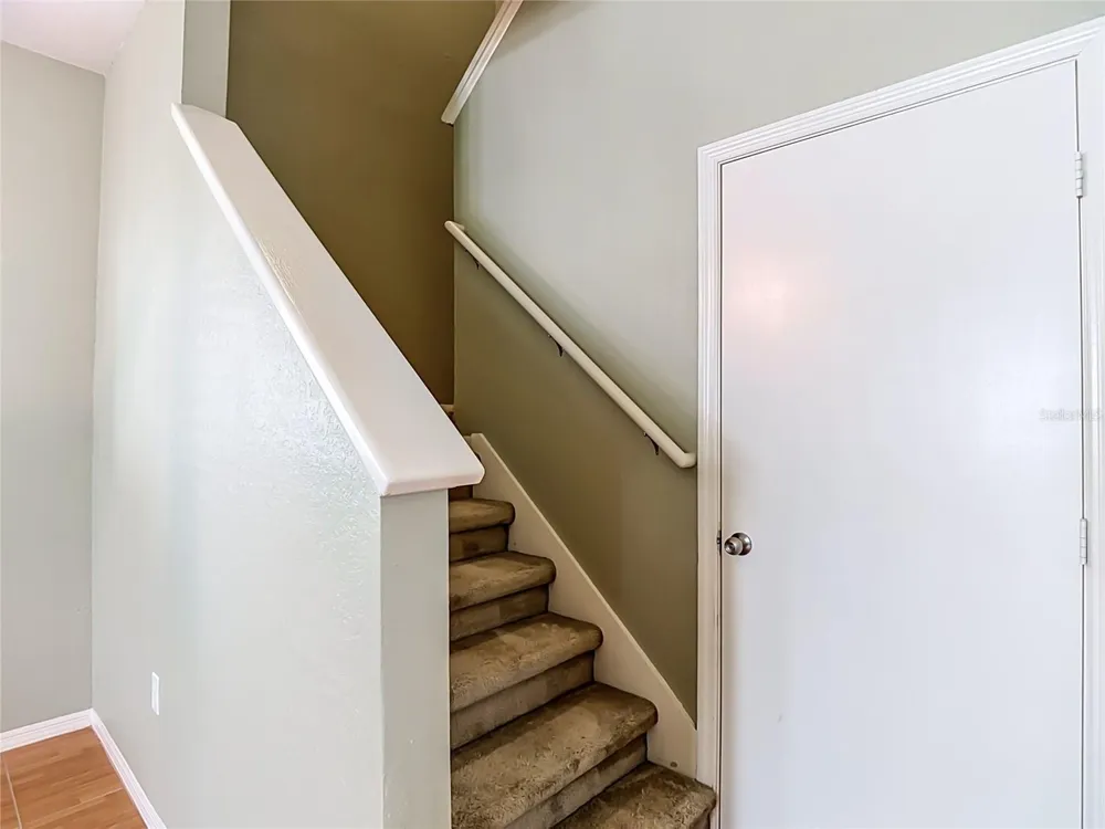4008 BANGALOW PALM COURT Tampa, FL 33624