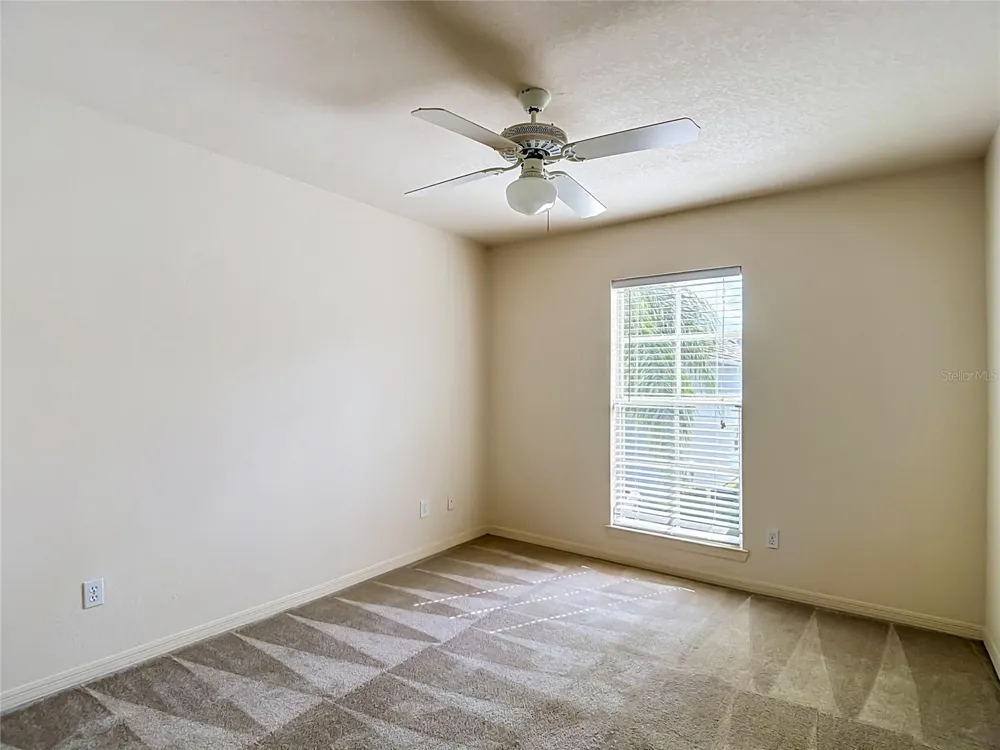 4008 BANGALOW PALM COURT Tampa, FL 33624