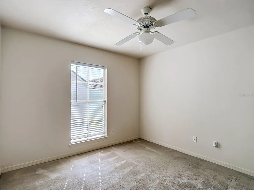 4008 BANGALOW PALM COURT Tampa, FL 33624
