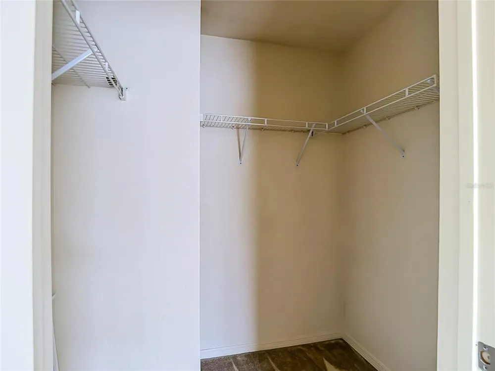 4008 BANGALOW PALM COURT Tampa, FL 33624