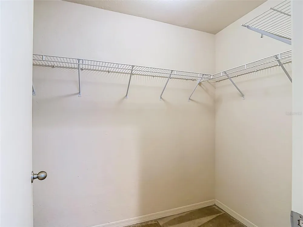 4008 BANGALOW PALM COURT Tampa, FL 33624