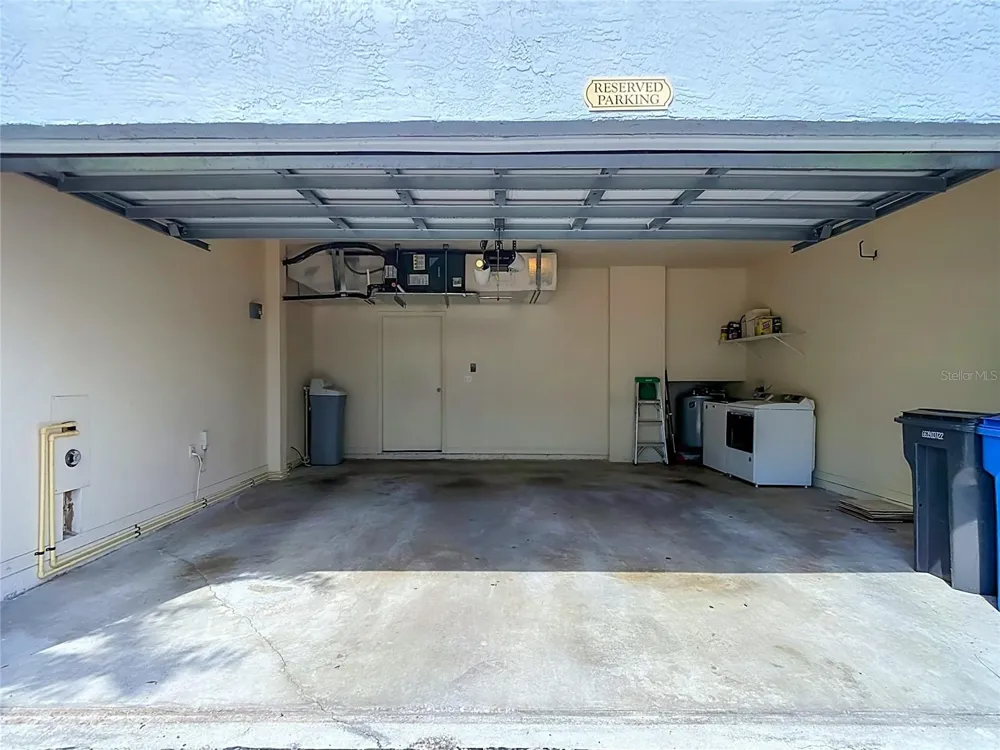 4008 BANGALOW PALM COURT Tampa, FL 33624