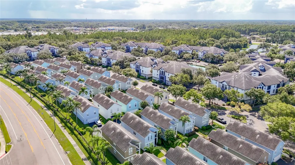 4008 BANGALOW PALM COURT Tampa, FL 33624