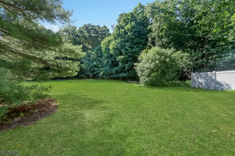 1093 Littleton Rd Parsippany-Troy Hills, NJ 07950