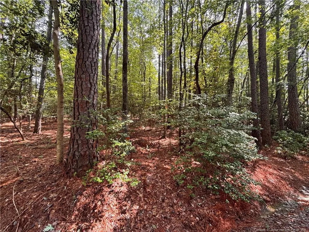 1452 CAROLINA DRIVE Sanford, NC 27332