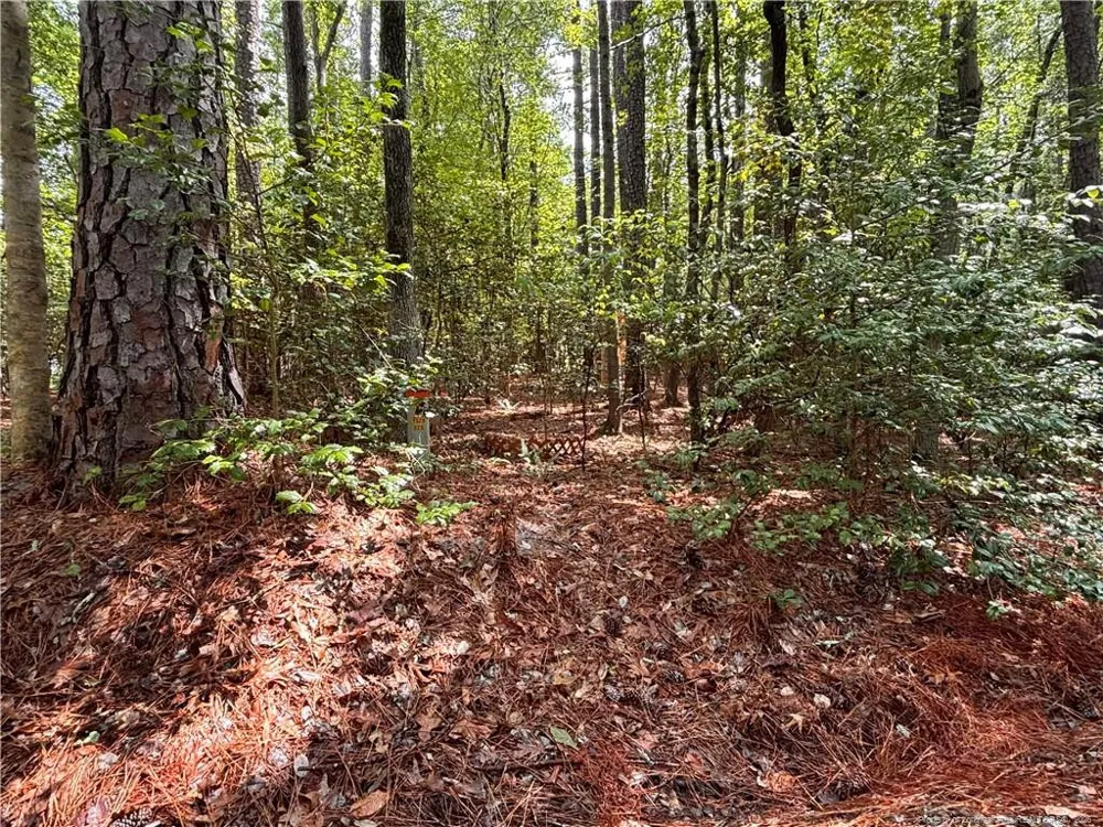 1452 CAROLINA DRIVE Sanford, NC 27332