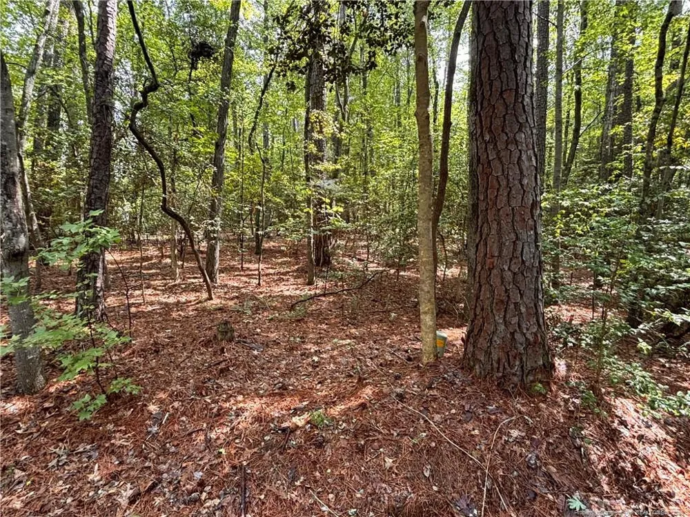1452 CAROLINA DRIVE Sanford, NC 27332