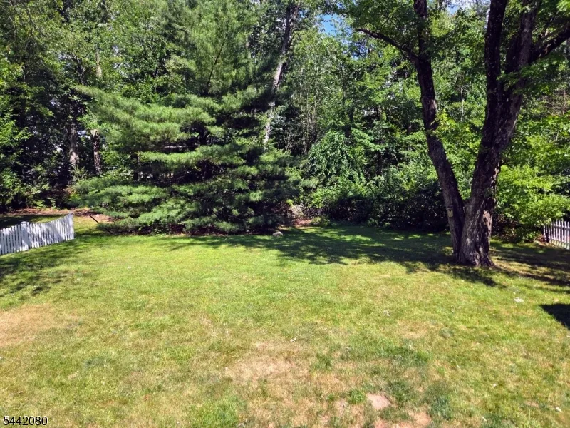 137 Passaic Ave Summit City, NJ 07901