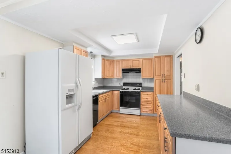 47 Ferncliff Rd Parsippany-Troy Hills, NJ 07950