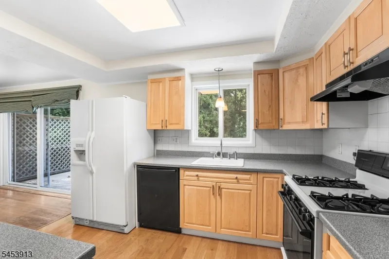 47 Ferncliff Rd Parsippany-Troy Hills, NJ 07950
