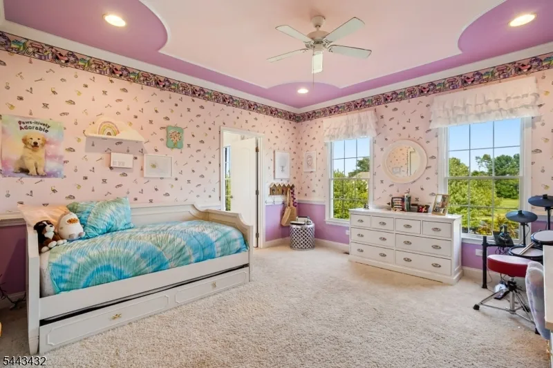 3 Balmoral Drive Alexandria, NJ 08867